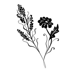 Abstract Flower and Dry grass as design element. Hand drawn sketch style. Line art. Ink drawing. Botany illustration on white. Isolated. Black and white vector background.