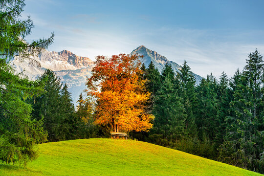 Landschaft bei Oberstdorf im Allg&auml;u mit Blick auf die Allg&auml;uer Hochalpen