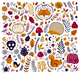 Deurstickers Autumn decorative collection with pumpkins, leaves, animals and halloween symbols © moleskostudio