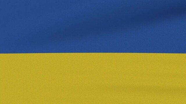 Loop Waving Flag Ukraine Land 3D Closeup