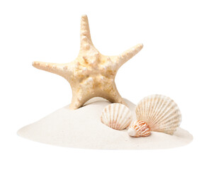 Fototapeta na wymiar Beautiful sea star and seashells in sand on white background