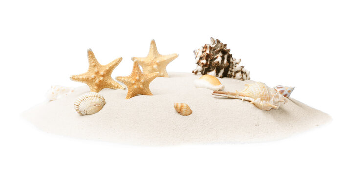 Beautiful sea stars and seashells in sand on white background