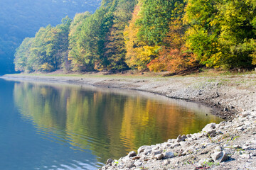 Autumn lake and forest, landscape. Lazberc, Hungary. 