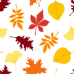 Colorful autumn leaves vector seamless pattern. Foliage texture,  maple, linden, rowan, oak, chestnut, ginkgo.