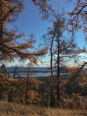 The view from Mount Sugomak in Russia