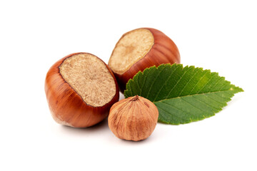 Ripe filbert and green leaves isolated on white