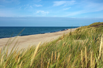 Fototapeta na wymiar Baltic Sea. curonian spit, landscape beach