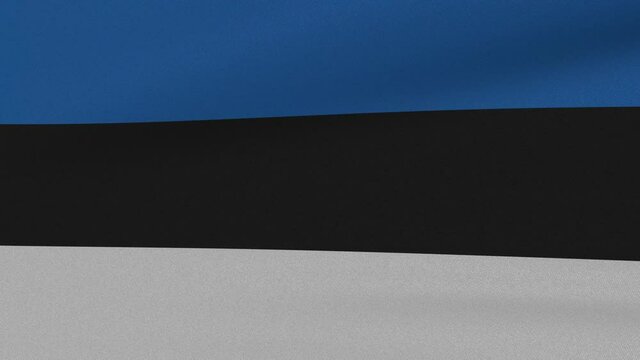 Loop Waving Flag Estonia Land 3D Closeup
