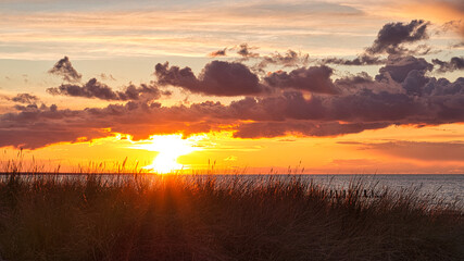 Naklejka na ściany i meble Sunset on the beach of the Baltic Sea in Zingst