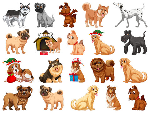 Different funny dogs in cartoon style isolated on white background