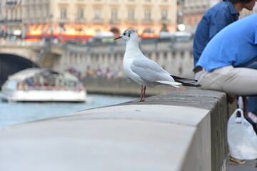 Obraz premium T. Paysages