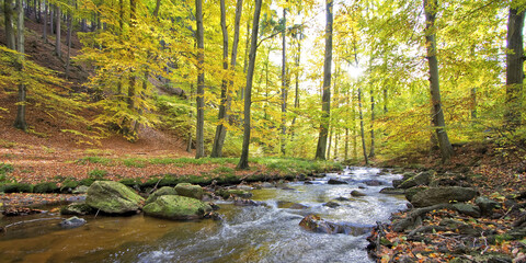 Herbststimmung im Ilsetal Harz