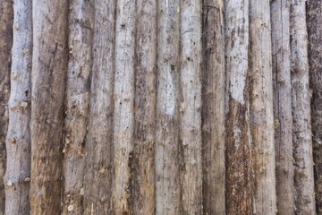 Old grunge wood panels floor texture
