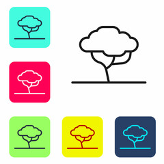 Black line African tree icon isolated on white background. Baobab, acacia and other. Set icons in color square buttons. Vector
