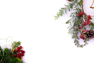 Composition of tree branches with pine cones and copy space on white background