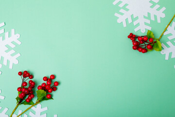 Composition of branches with berries, snowflakes and copy space on green background