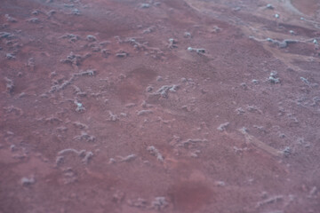 Background texture sea pink salt. Salt crystals close up. Pink salt lake.