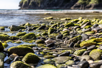 rocks on the beach