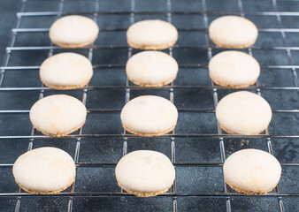 Anis biscuits, german traditional christmas sweets