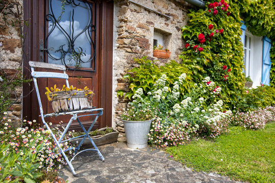 Petit jardin charmant, rosier et fleurs au printemps.