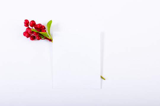 Composition of white card with copy space and branch with berries on white background