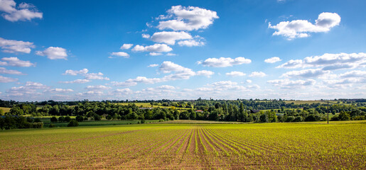 Fototapeta premium Paysage agricole, campagne et champ après la semence.