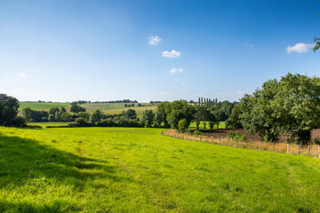 Fototapeta premium Paysage de campagne en France, champ et pâturage en au printemps.