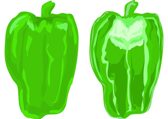 ピーマンのリアルな手描きイラスト