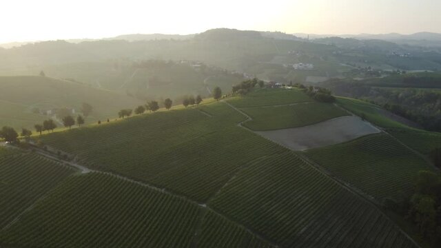 Vineyards agriculture in Barolo aerial view with sunrise or sunset light in Langhe, Piedmont. Unesco world heritage site in Northern Italy