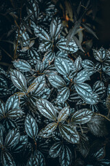 Plant floor