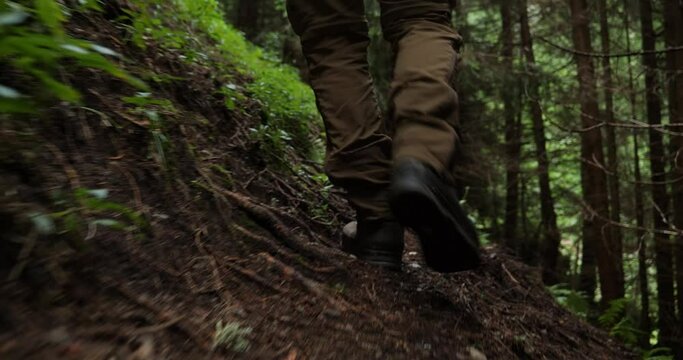 Hiker's feet walking in the mountain forest. Man walking in the woods trail. Feet in Hiking Boots Walking through the Mountain Forest. Walking through woodland. Low angle of a Young boy 