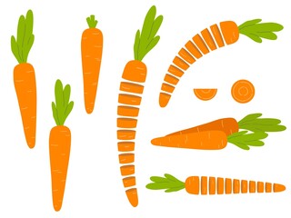 Collection of carrot. Vector illustration in flat style isolated on white background