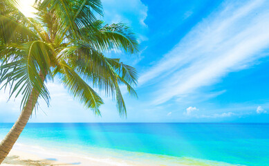 Fototapeta na wymiar A beautiful beach on a tropical Island.