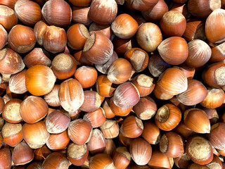 Lots of hazelnuts. Hazelnuts in the store. Hazelnut background.