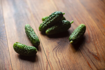 Ripe fresh healthy diet vegetarian food with vitamins. Green cucumbers lie on a wooden surface. Harvesting season.