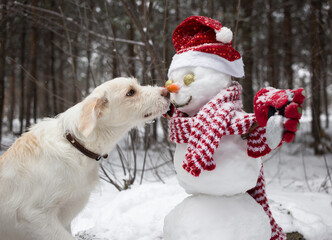 white dog touches a carrot with its nose to a snowman in a Santa hat and a striped scarf. Winter season in a snowy forest. Friendship, humor, Christmas holidays