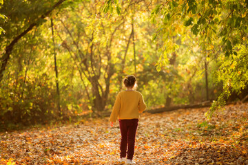 A girl walks in a beautiful autumn forest. A child enjoys nature in a park.