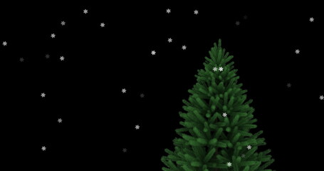 Fototapeta na wymiar Digital image of multiple stars moving against christmas tree on black background