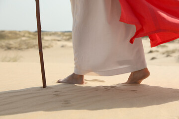 Jesus Christ walking in desert, closeup view