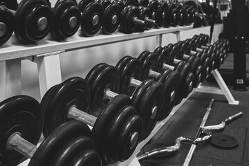 Obraz na płótnie Canvas dumbbells in the gym. sports dumbbells in in a rack in sports club. black and white photo