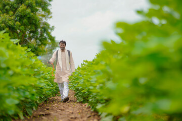 indian farmer spraying pesticide at cotton field.