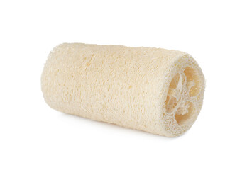 Natural shower loofah sponge isolated on white