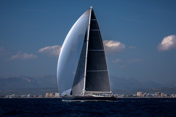Maxi yacht with white genaker sailing in the bay