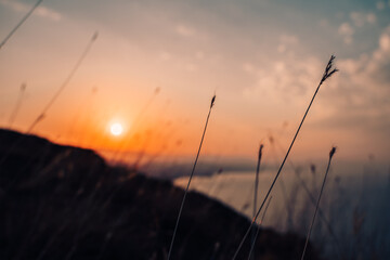 Fototapeta premium Beautiful natural landscape with fluffy grass in the foreground on the top of the mountain