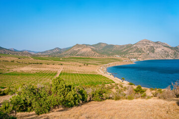 Fototapeta na wymiar Vineyards between the mountains in the Crimea