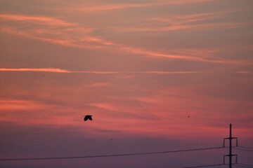 &ldquo;There was a star riding through clouds one night, & I said to the star, 'Consume me'.&rdquo;