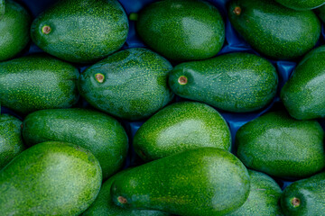 Fresh avocados in the tray, put up for sale. The concept of healthy eating.