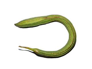 Indian organic ridge gourd isolated on white background. Close up of ridge gourd.