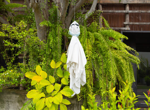 Traditional japanese doll in rain season. Handmade Teru Teru Bozu hanging on tree in the garden. Natural. A mascot craft.