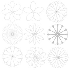 Obraz premium set of radial flowers, thin black lines on a white background, collection of vector design elements